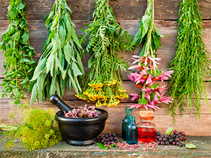 aromaterapia_plantas